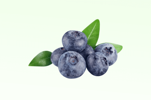 Best Acai Berry Supplements