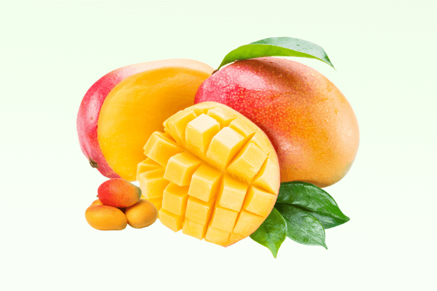 Best African Mango Supplements
