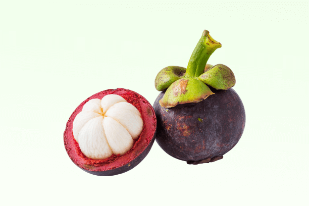 Best Mangosteen Supplements