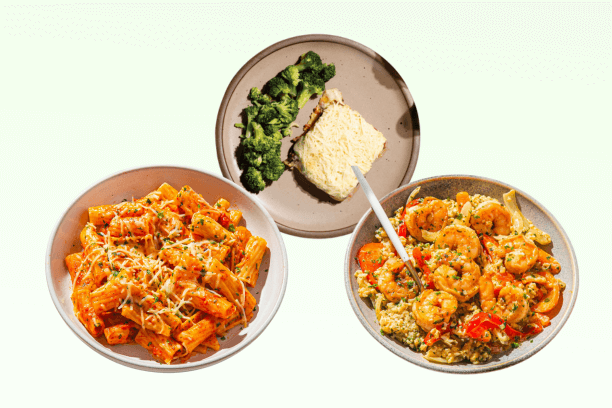 Forkful Meals Review