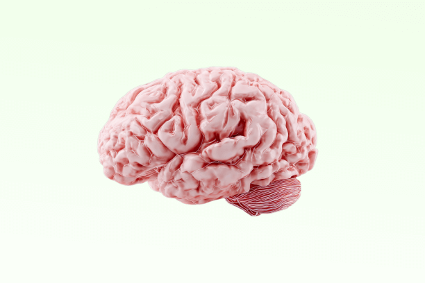 Cerebral Review